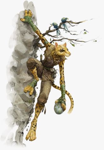 tabaxi art from volo's guide to monsters